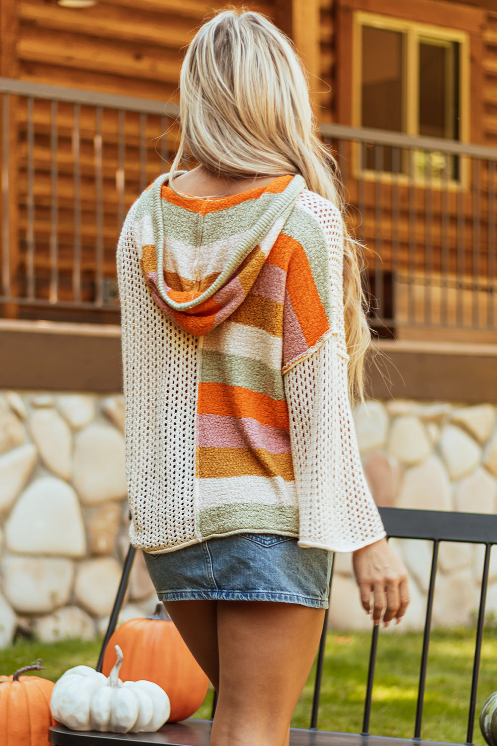 Colorblock V Neck Hooded Sweater