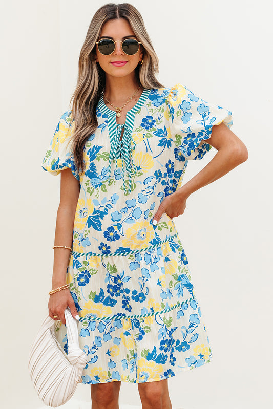 Blue Floral Striped Mini Dress