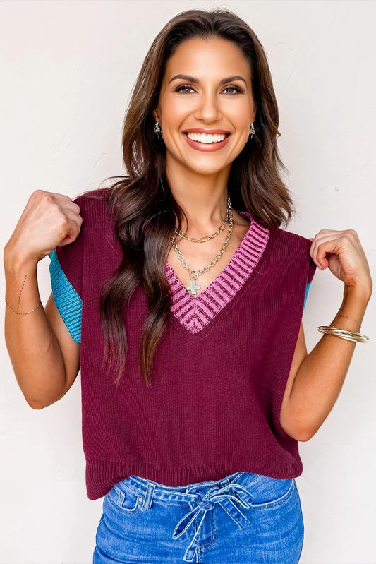 Burgundy Contrast V Neck Sweater